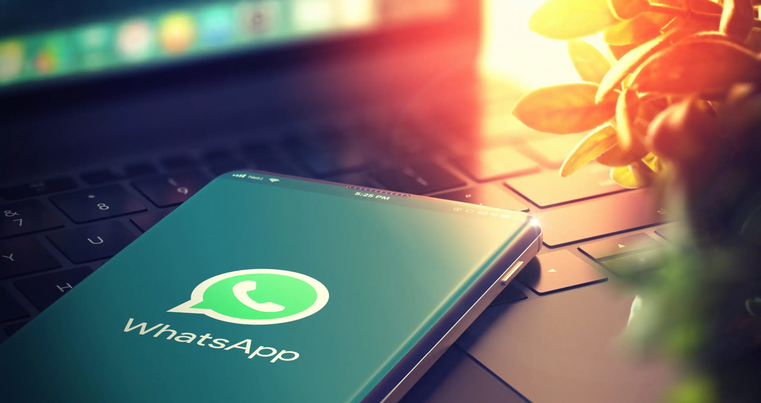 WhatsApp no Mundo Open: Inúmeras Possibilidades de Negócio